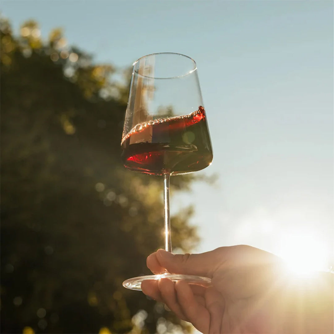 Cómo elegir el vaso perfecto: guía para agua, vino y una mise en place elegante