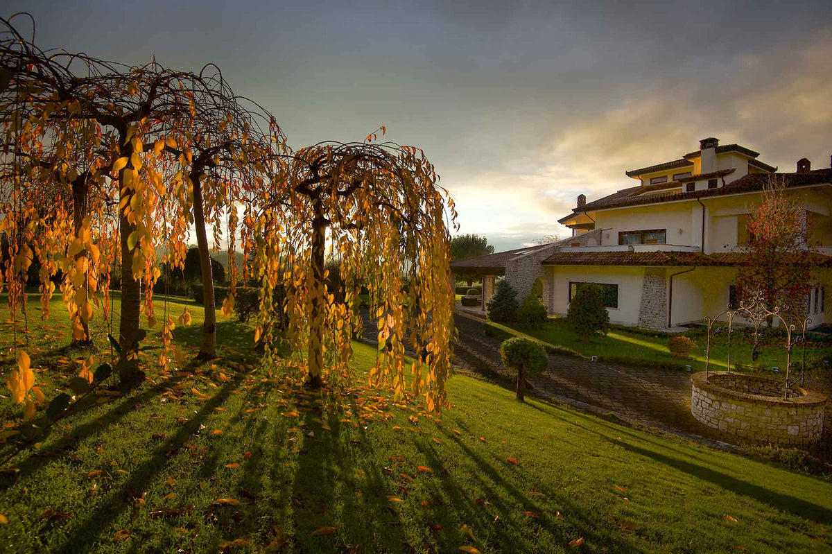Cantine Mastroberardino