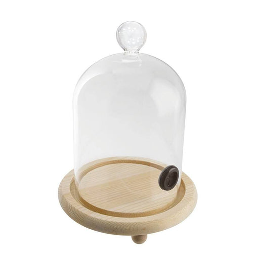 11 Cm Paderno Cloche Fumoir