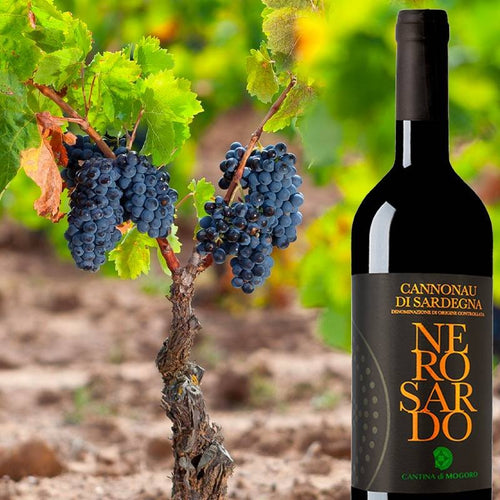 Nero Sardo Cannonau Di Sardegna Doc 2016 Cantina Di Mogoro