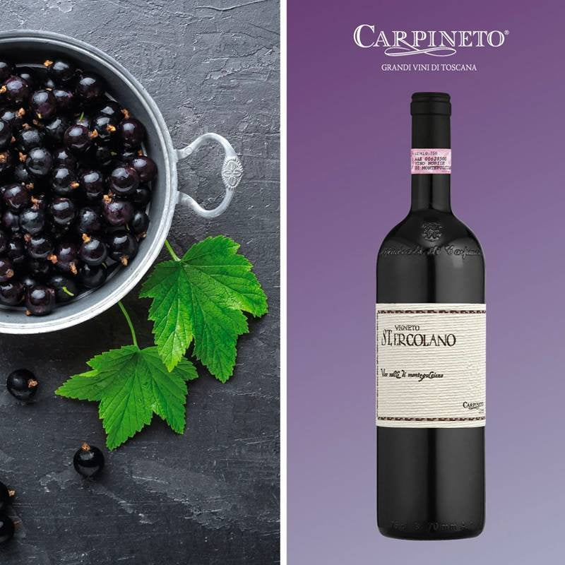 Sant Ercolanp Vino Nobile Montepulciano Docg 2000 Carpineto
