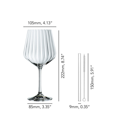 63.7 cl - Nachtmann Tastes Good Verre à Cocktail Gin & Tonic avec Paille en Verre - Lot de 4 Pcs