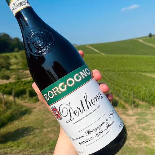 Derthona Colli Tortonesi Doc 2022 Borgogno