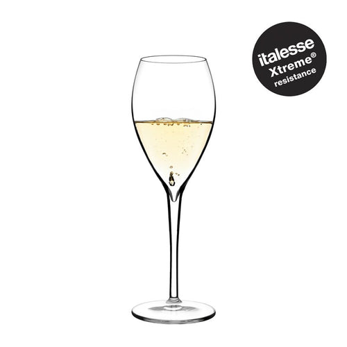 28 Cl Italesse Flute N5 Champagnerflöte aus Glas Set mit 6 Teilen