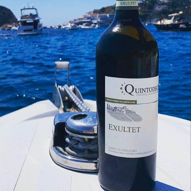 Exultet Fiano Di Avellino Docg 2023 Cantina Quintodecimo