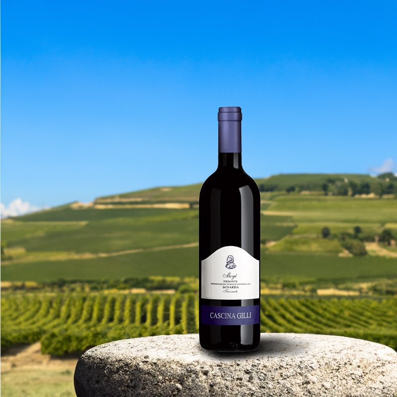 Moye Bonarda Dell Oltrepo Pavese Doc 2022 Cascina Gilli