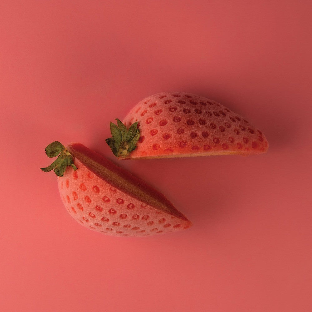 15 Vormen - Silikomart Fragola 30 Realistisch Fruit Dessertvorm In Silicone Uitsteker Inbegrepen