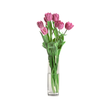 Mazzo di sette tulipani rosa con gambo verde in vaso cilindrico trasparente su sfondo bianco.