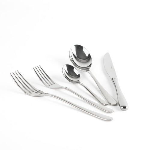 Set di posate in acciaio inox lucido: due forchette, due cucchiai e un coltello su sfondo bianco.