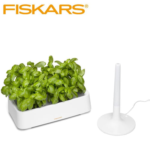 Fiskars Herb Conteneur pour Herbes Aromatiques Rectangulaire en Polystyrène