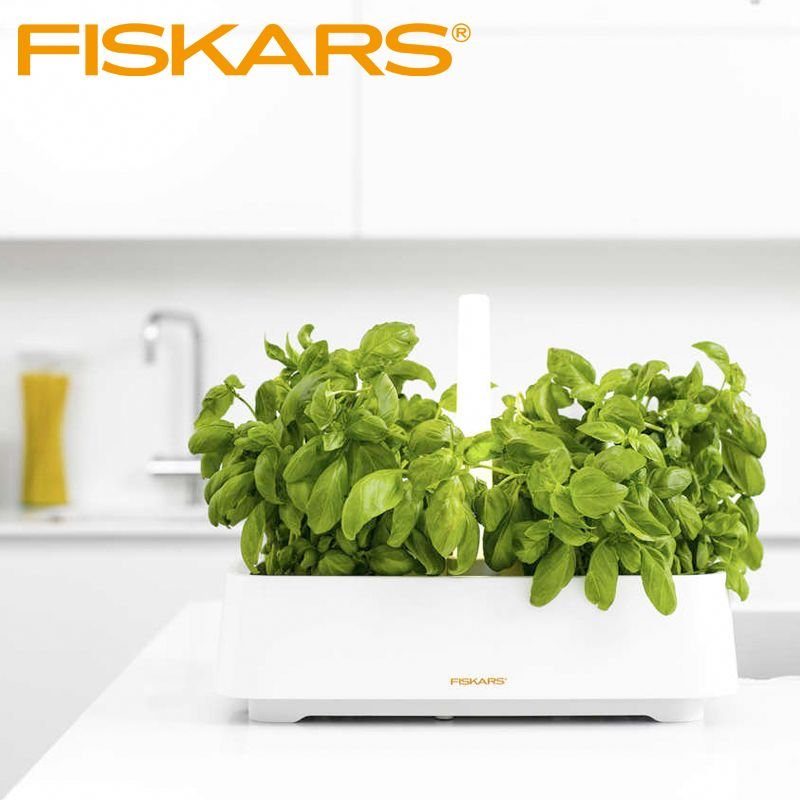 Fiskars Herb Conteneur pour Herbes Aromatiques Rectangulaire en Polystyrène