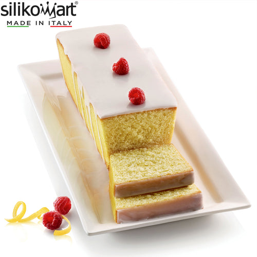 30X10 Cm Silikomart Classic runde Antihaft-Plum-Cake-Form Silikon