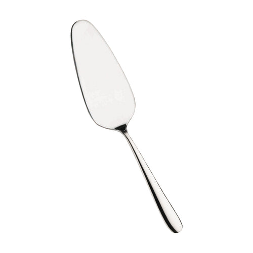 Pintinox Maitre Pelle À Gâteau En Acier Inoxydable
