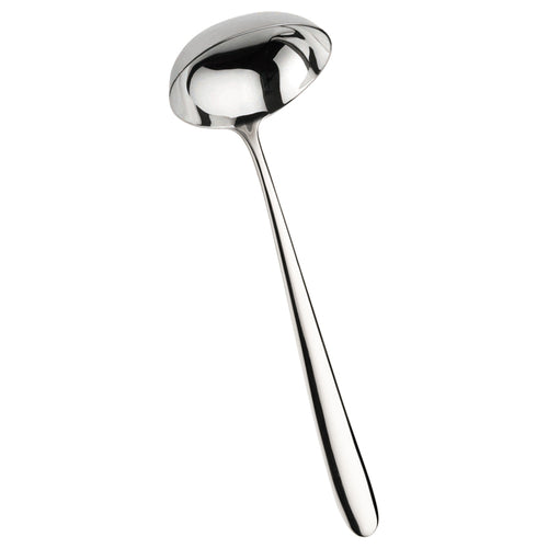 Pintinox Maitre Louche De Service En Acier Inoxydable