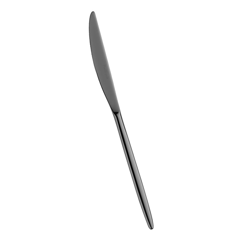 Pintinox Olivia Table Knife in Stainless Steel Set of 12 Pcs