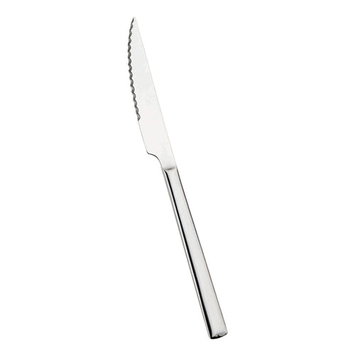 Pintinox Synthesis Steakmesser Aus Edelstahl Set 12 Stk