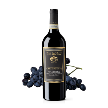 Bottiglia di vino rosso Amarone della Valpolicella con etichetta nera e grappolo di uva blu scuro sullo