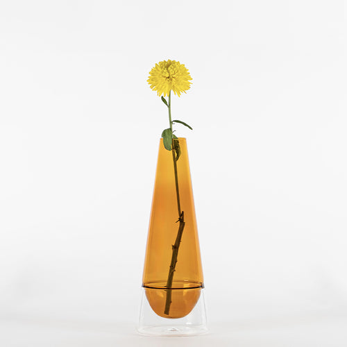 vaso in vetro trasparente arancione con base trasparente contenente un unico fiore giallo con stelo verde su sfondo bianco