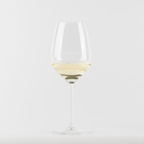 Transparentes Glas-Weinglas mit hellem Weißwein auf neutralem weißem Hintergrund