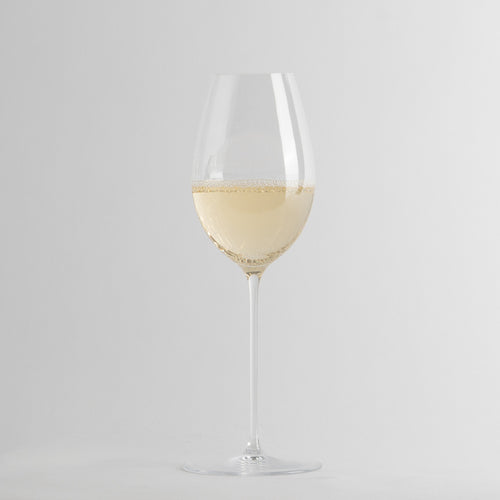 calice trasparente con vino bianco e bollicine su sfondo grigio chiaro minimalista