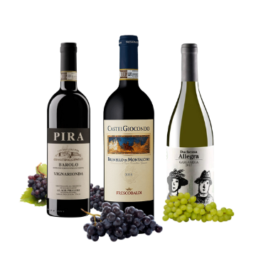 Tre bottiglie di vino, rotonde, di vetro nero, due rosse e una bianca, con grappoli d'uva scura e chiara
