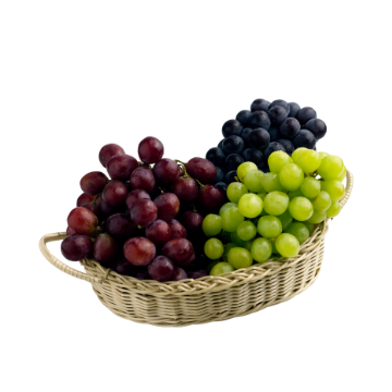 Cesto di vimini con grappoli d'uva rossa, verde e nera, su sfondo bianco.