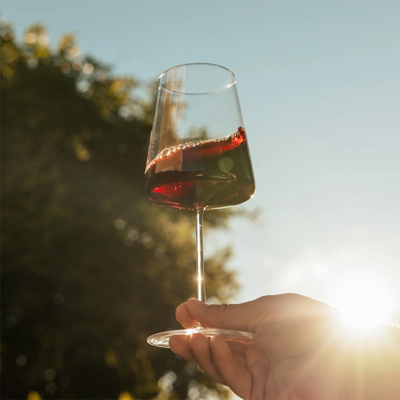 Bicchiere di vino rosso trasparente con stelo sottile tenuto da una mano contro il cielo e luce solare intensa sullo sfondo.
