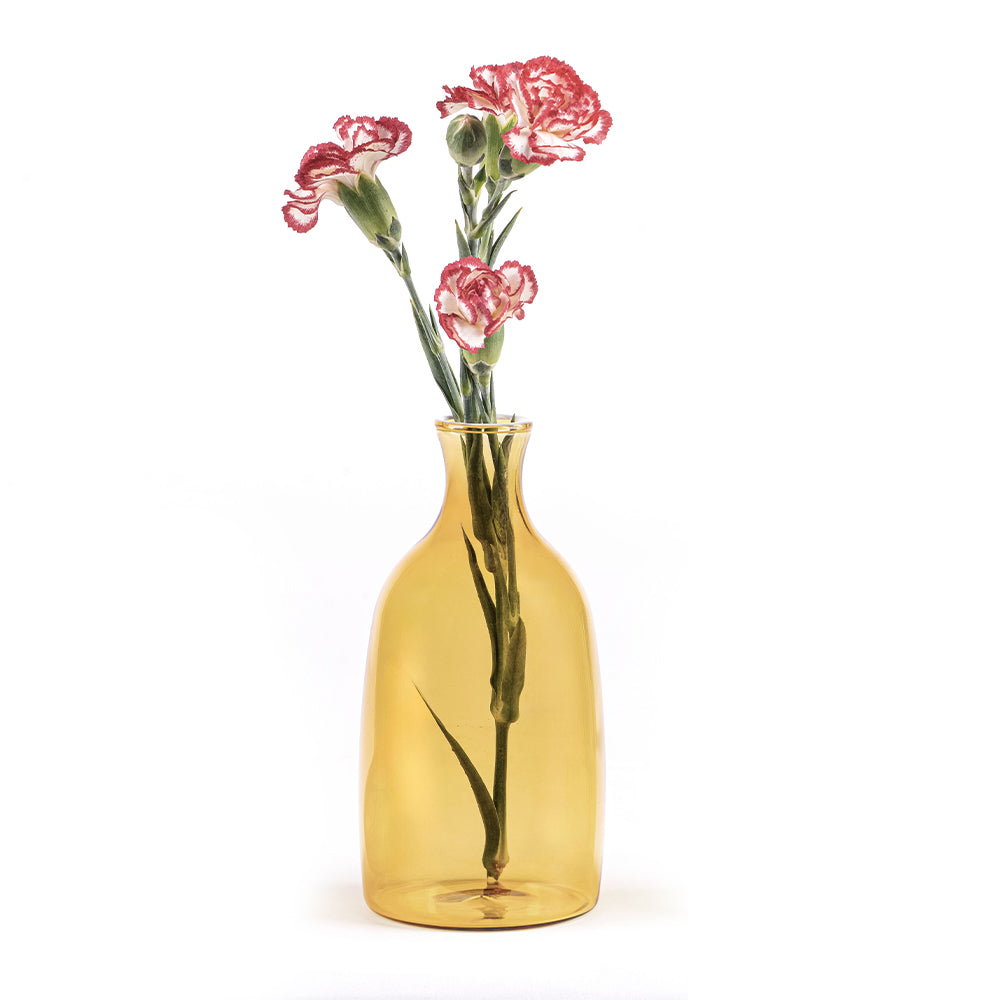 Trois œillets blancs et rouges avec tiges vertes dans un vase transparent couleur ambre sur fond blanc.