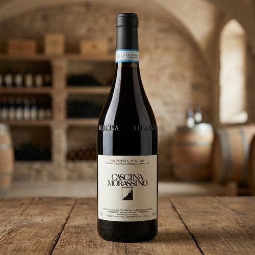Barbera d'Alba DOC 2024 - Cascina Morassino