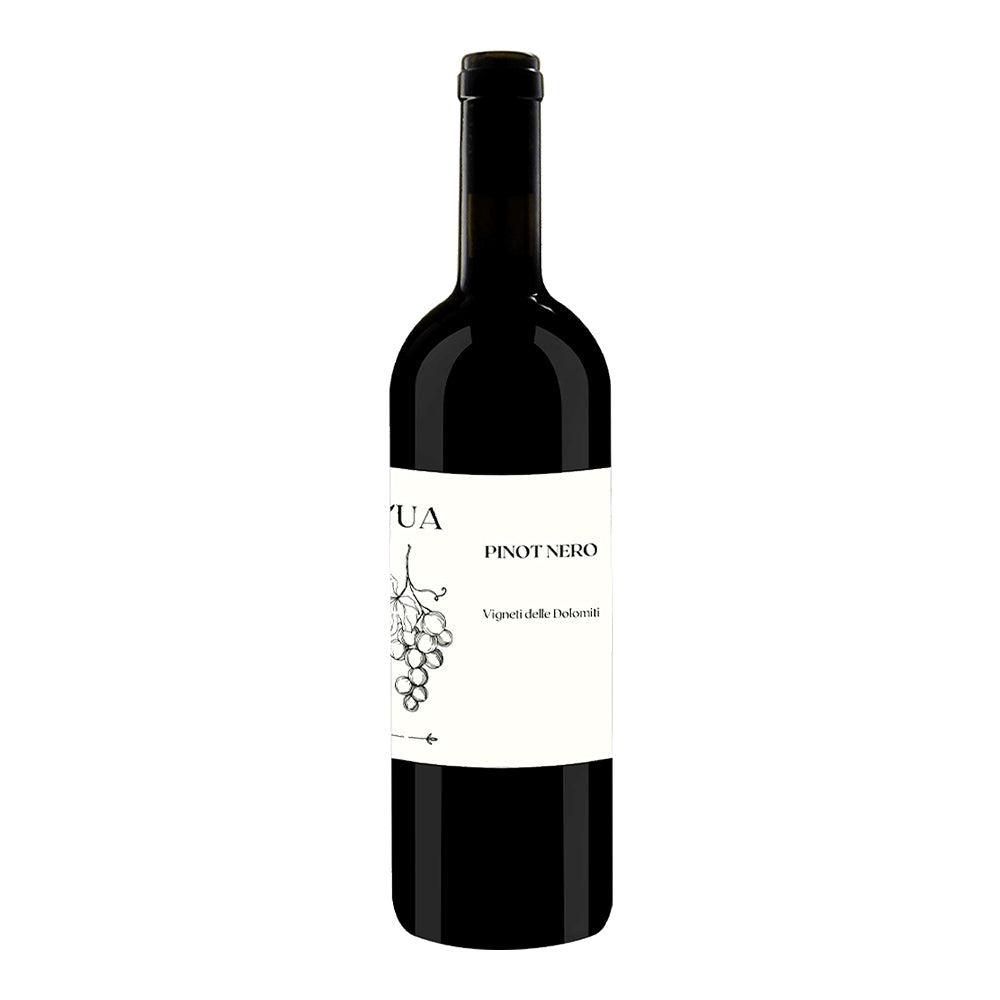 Pinot Nero Vigneti Delle Dolomiti IGT 2023 - L'Ua