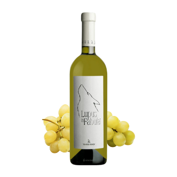 Bottiglia di vino bianco con etichetta il lupo in fabula, grappolo di uva verde sullo sfondo bianco.