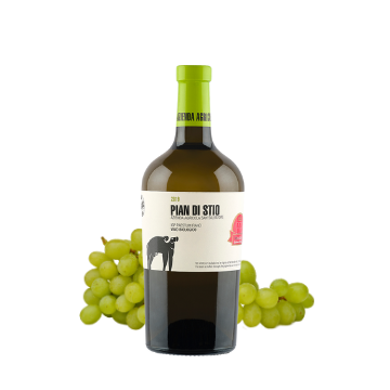 Bottiglia di vino bianco Pian di Stio con etichetta bianca e grappoli d’uva verde sullo sfondo.