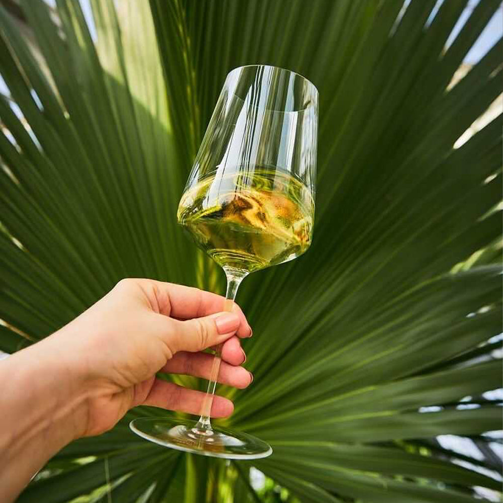 55.5 cl - Zalto Denk'Art Verre À Vin Universel En Verre Cristallin Lot de 2 Pièces