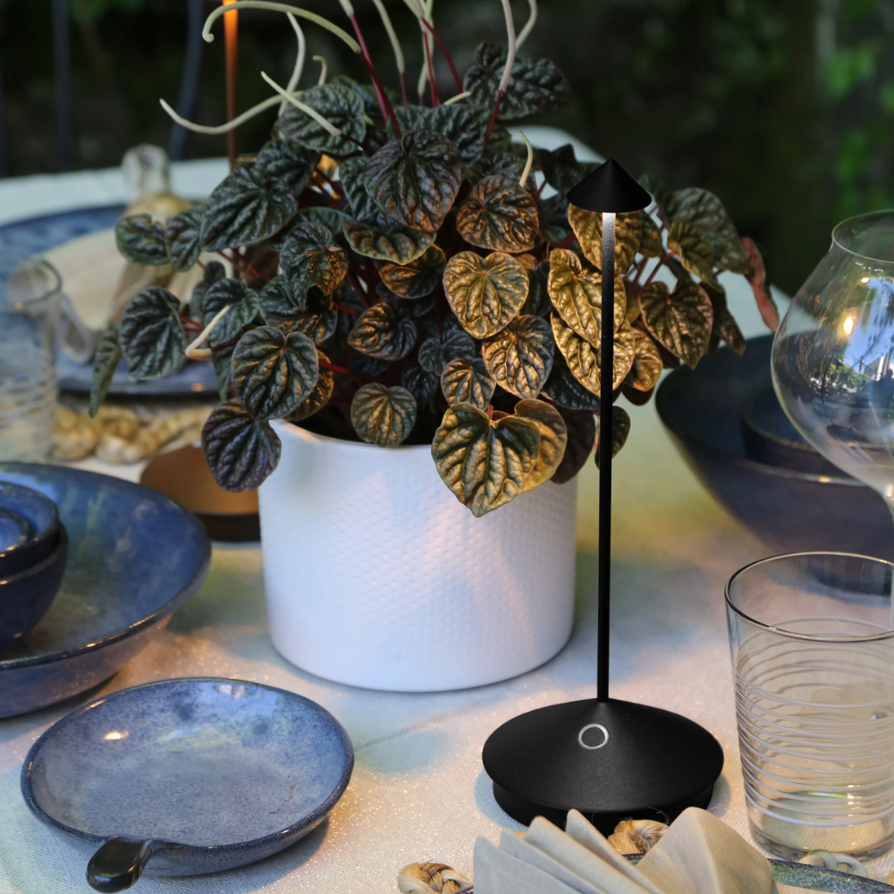 Vaso bianco con pianta verde dalle foglie cuoriformi e struttura nera sottile con luce su tavola apparecchiata con stoviglie blu e