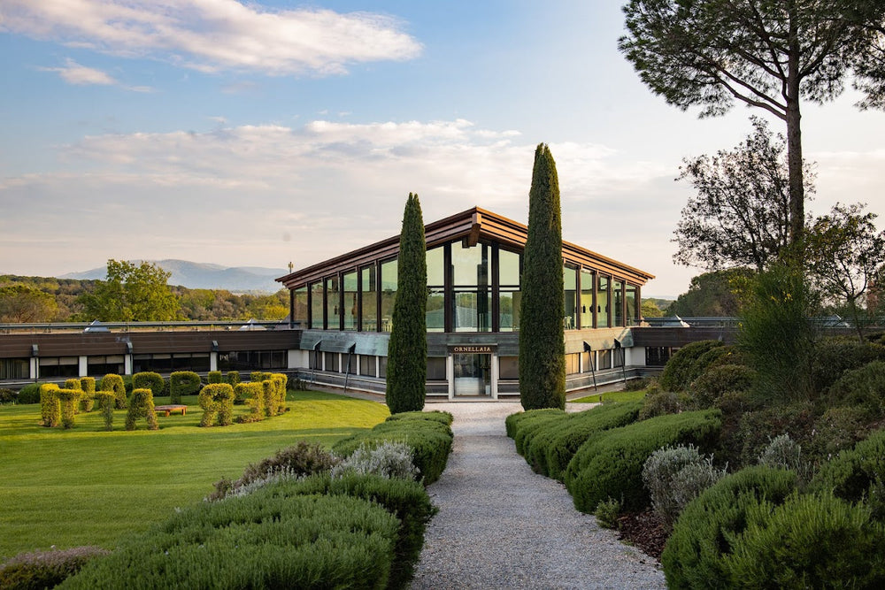 Cantina Ornellaia
