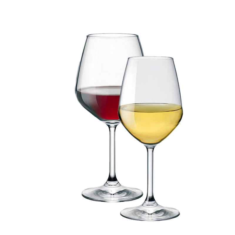 Bormioli Rocco Divino Wine Glass Set in Glass Set of 12 Pieces