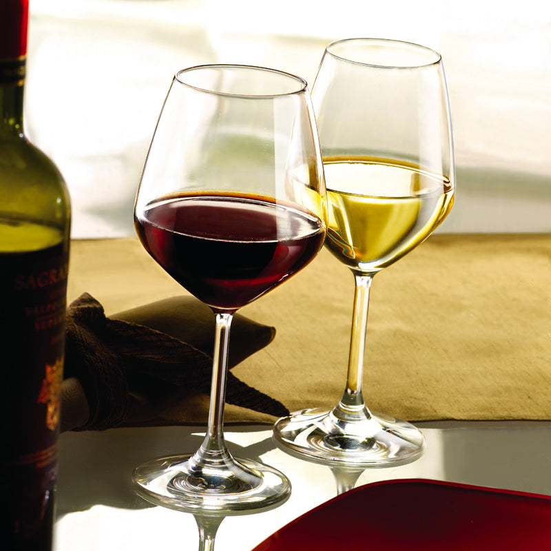 Bormioli Rocco Divino Wine Glass Set in Glass Set of 12 Pieces