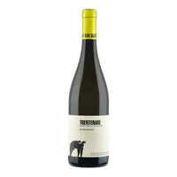 Trentenare Paestum Igp 2023 Cantina San Salvatore 1988