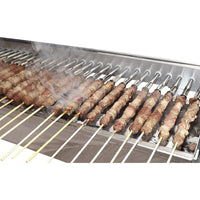 Tecnoroast 20 Single Parrilla de Carbón con Giraspiedini Automático