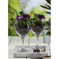 21 Cl Lav Misket Multi-Purpose Glass in Glass Set of 6 Pieces