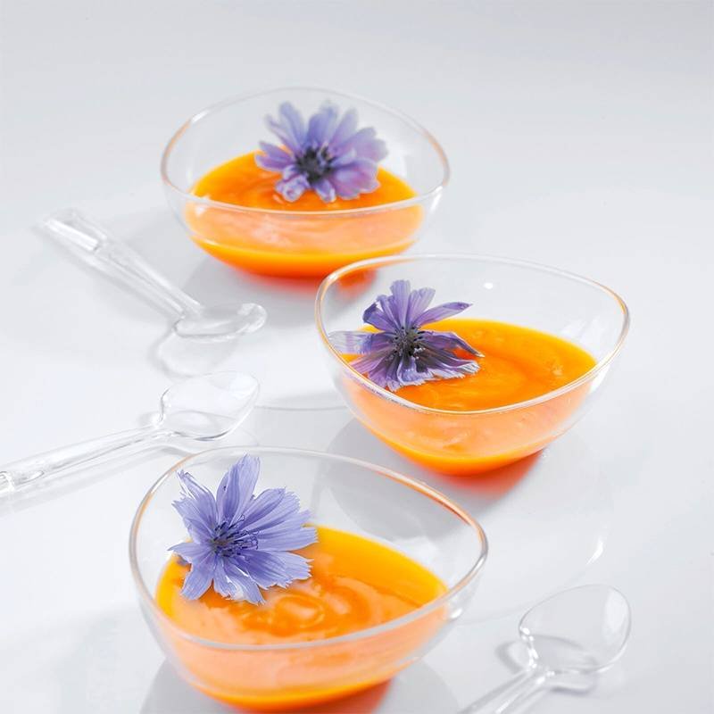 Paderno Tableware Buffet And Display Coupe Monoportion En Polystyrène Set 100 Pcs