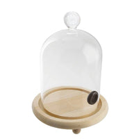 11 Cm Paderno Smoker Cloche