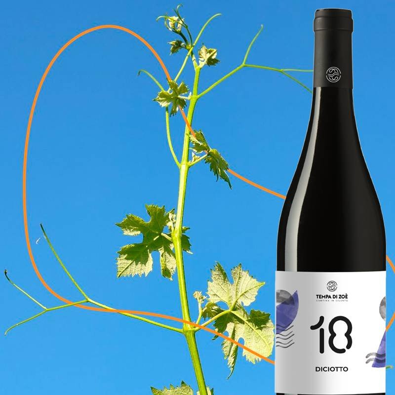 18 Diciotto Paestum IGP 2020 Cantina Tempa Di Zoe