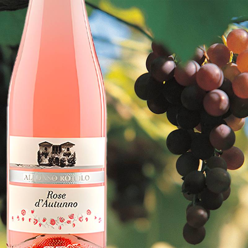 Rose D Autunno Paestum Igp 2022 Cantina Alfonso Rotolo