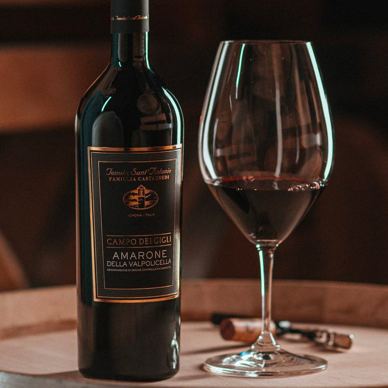 Campo Dei Gigli Amarone Della Valpolicella Docg 2017 Tenuta Sant Antonio