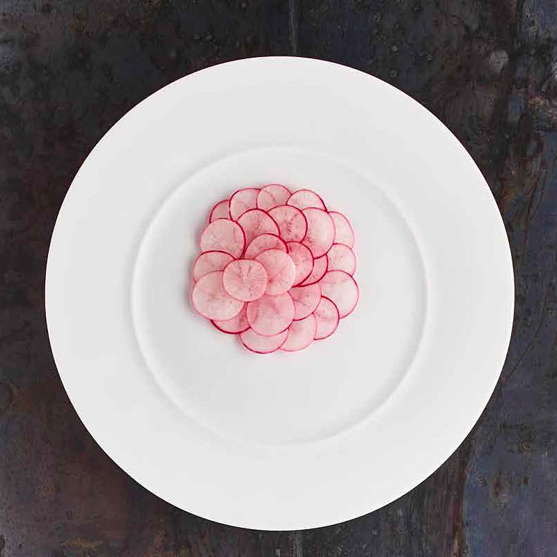 25 Cm Lioness Florence Assiette creuse en porcelaine Set 4 Pcs