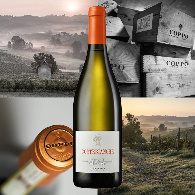 Costebianche Piemonte Doc 2022 Cantine Coppo