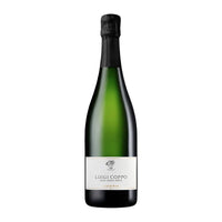 Luigi Coppo Alta Langa Docg 2020 Cantine Coppo