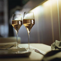 50 Cl Italesse Tiburon Multi-Purpose Wine Glass in Glass Set of 6 Pieces