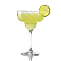 34 Cl Stolzle Lausitz Grandezza Margaritaglas aus Glas Set 6 Stk